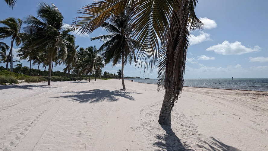 MIA_2023-08-14 11-06-16_PXL_20230814_150616575